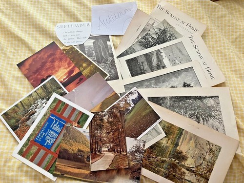 Job lot vintage autumn - lot,
