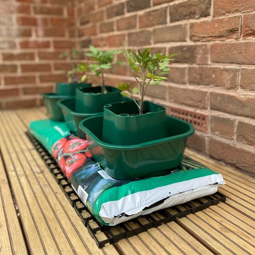 Grow bag watering pots - bag,