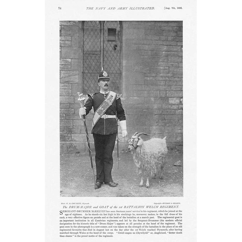 Drum major goat - drum, &