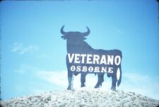1969 Veterano Osborne Bull