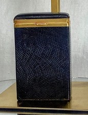 A beautiful vintage lizard