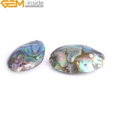 Natural Genuine Abalone Shell