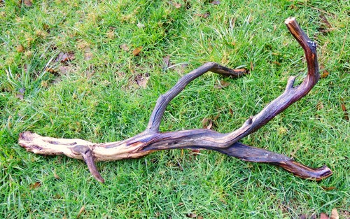 Natural manzanita branch - branch, 27"