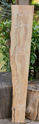 Spalted chestnut live edge - spalted,