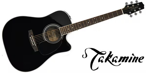 Takamine world standard - takamine,