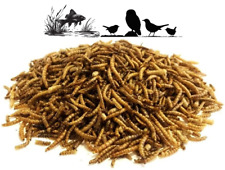 Dried Mealworm Worms Wildlife Garden Bird Food Fish Food Tasty