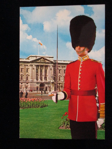 Grenadier guards ensign - guards,