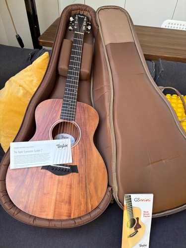Taylor mini es2 mahogany - taylor,