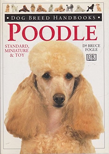 Poodle standard miniature - -, standard,