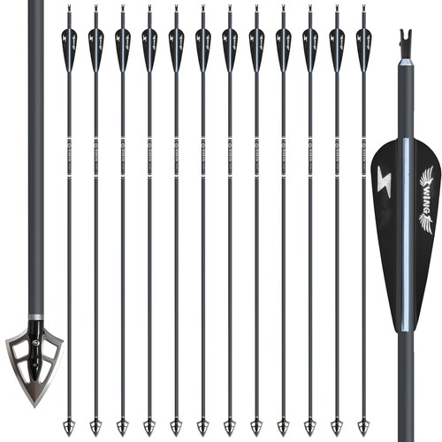 12pcs carbon arrows with - carbon,