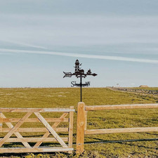 Lighthouse Weathervane Garden