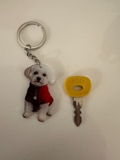 Mobility Scooter Shoprider