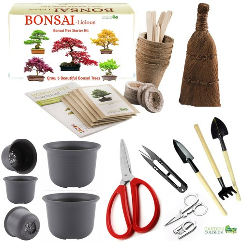 Bonsai tree kit grow - grow, own