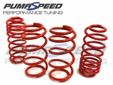 Pumaspeed Stance Lowering Springs Ford Fiesta Mk8 ST Petrol 1.5 EcoBoost
