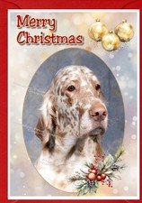 English Setter Dog A6 (4"x 6")