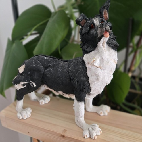 Country artists border collie - border,