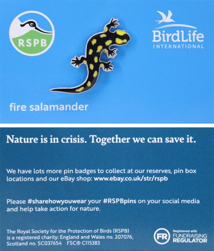 Rspb pin badge bird - pin, life