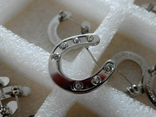 Horseshoe brooch with - brooch,