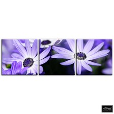 Flowers BOTANICAL   Floral BOX FRAMED CANVAS ART Picture HDR 280gsm