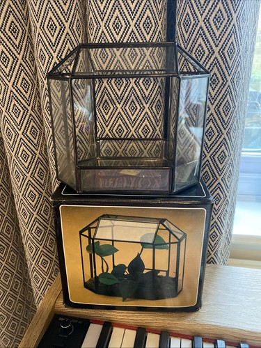Vintage glass terrarium for - vintage,