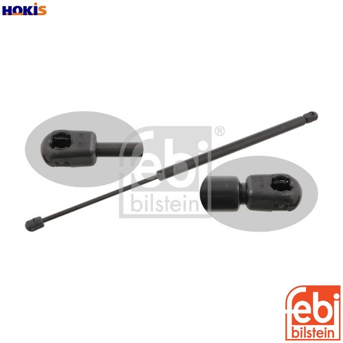Gas spring bootcargo area - gas,