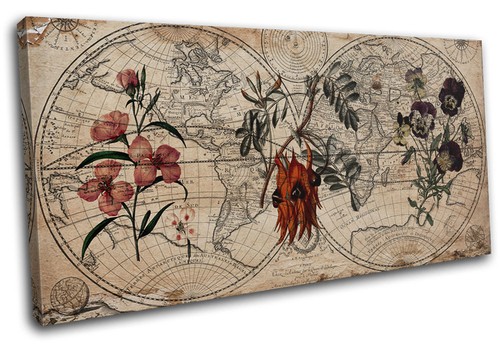 Botanical floral shabby chic - floral,