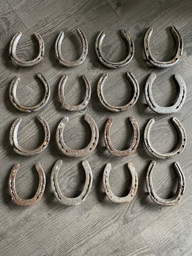 Used lucky horse shoe real - used,