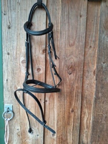 Whitikar bridle with flash - bridle,