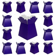 CADBURY PURPLE Living Vases