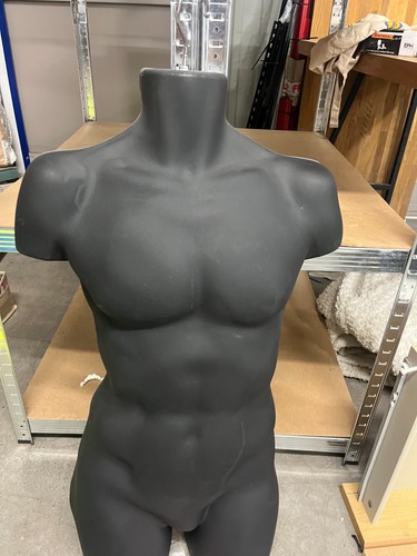 Male half body plastic - half, display
