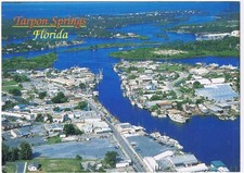 Florida Postcard Tarpon