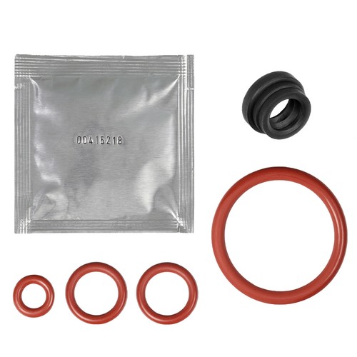 Gasket for gaggia - gasket,