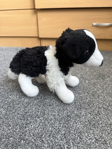 Douglas meadow border collie - douglas,