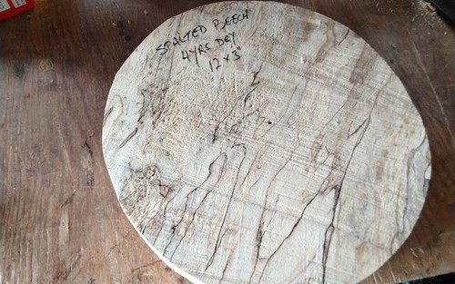 Spalted beech bowl blank - spalted, wood
