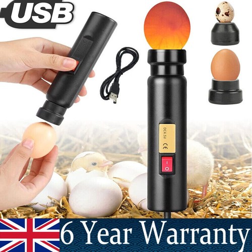 Egg candler torch led light - candler, -light