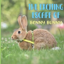 THE EXCITING ESCAPE OF BENNY