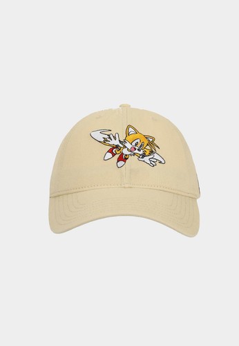 Sonic the hedgehog flying - the,