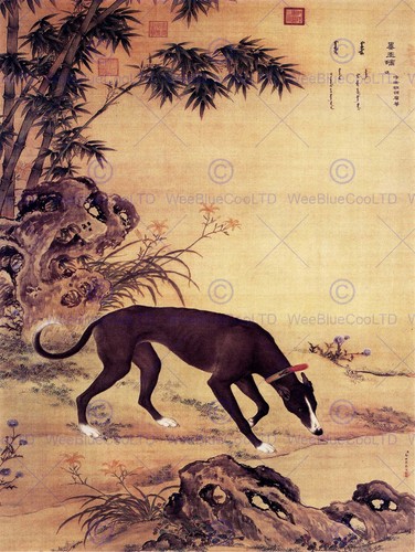 Painting animal castiglione - painting,