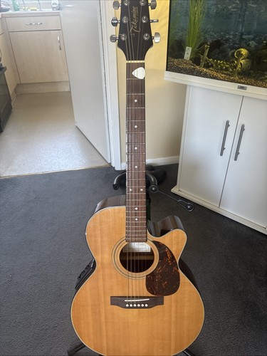 Takamine series guitar - takamine,