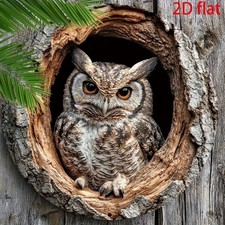 BEAUTIFUL Owl In Tree Hollow
