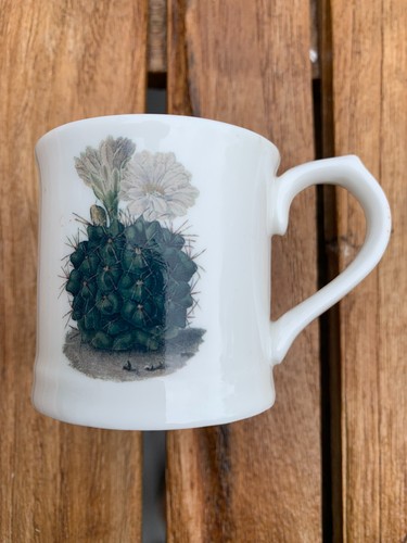 Botanical cup magpie vegan - botanical,