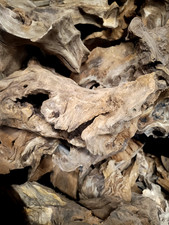 Derwen Oak Bogwood 18-32cm