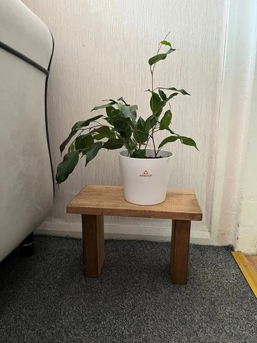 Wooden plant stand - plant, balcony