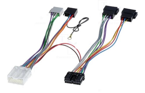 Sot break out lead parrot - sot,