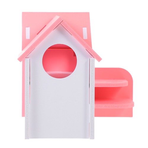Hamster house guinea - hamster,