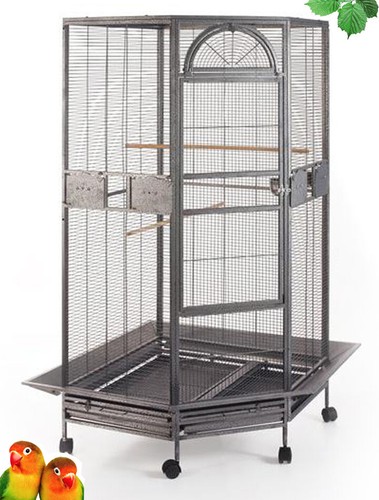 Large corner flight bird - x-large,