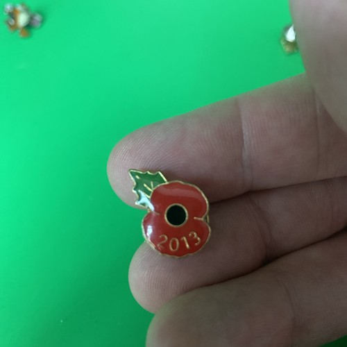 Rare 2013 poppy - *rare*, poppy¹