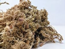 Long Fiber New Zealand Sphagnum Moss (One Gallon) 5oz [140 Grams]