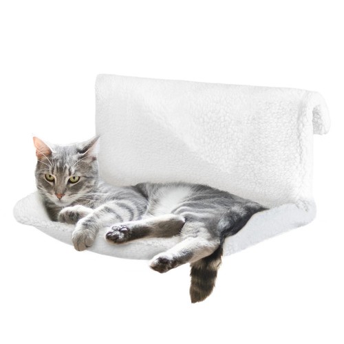 Cat kitten hanging radiator - cat,