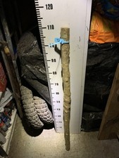 Oak Huge Seasoned SHANK